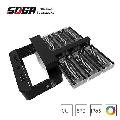 kupować Gary lub Black Housing Color Rugged IP66 LED Stadium Lights z elastycznymi oprawami i odłączalną skrzynką kierowcy online manufacture